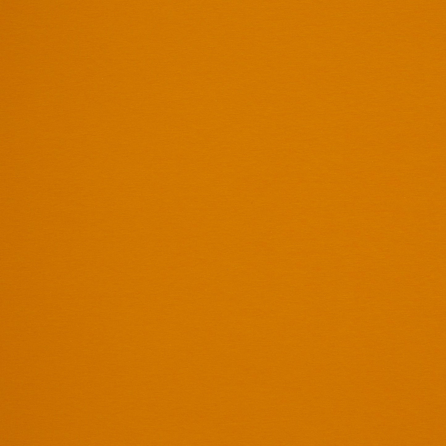 Cotton jersey, yellow gold color, 155 cm wide